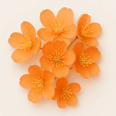 פרחים-כתומים-עמוד-הבית