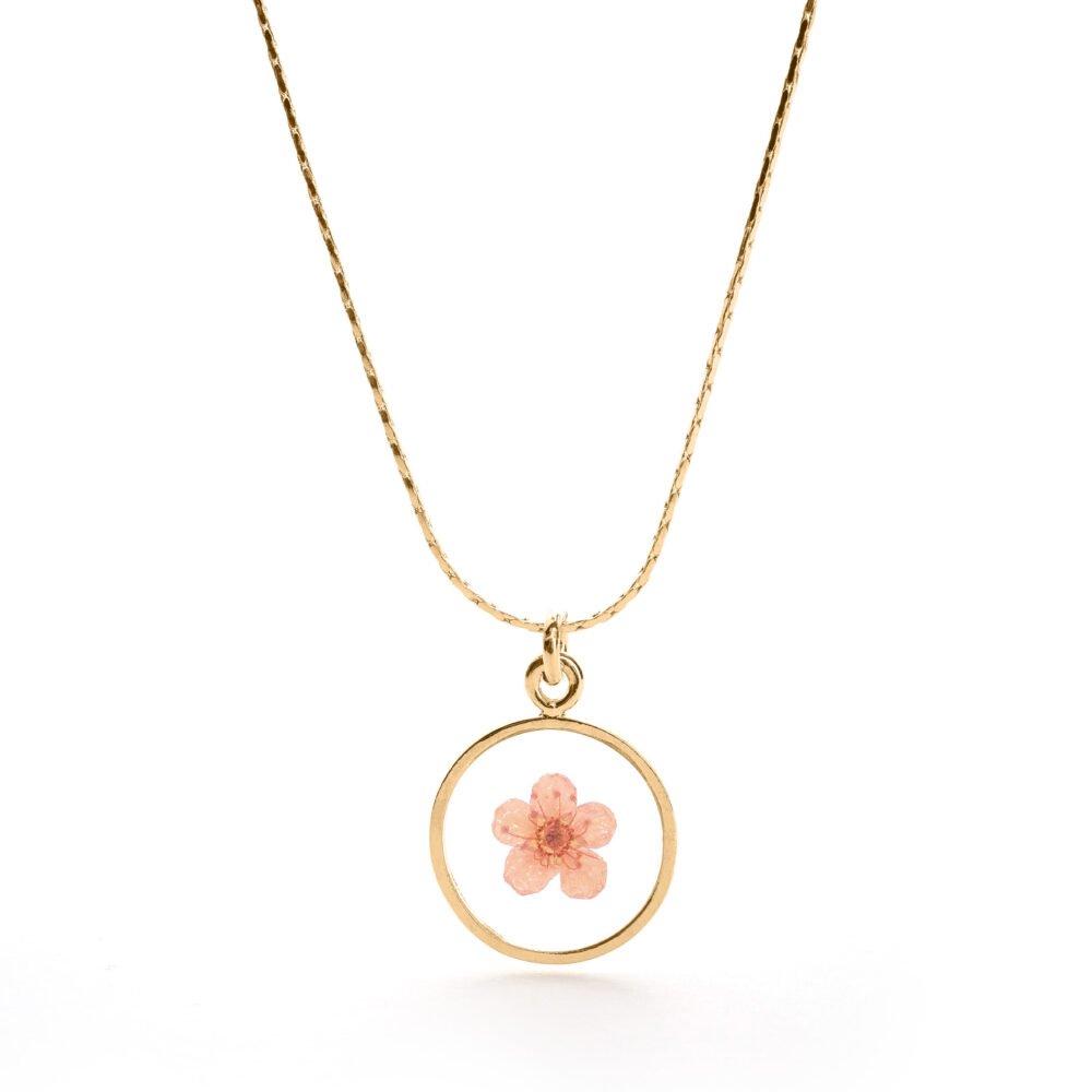 שרשרת תקווה עיגול אפרסק